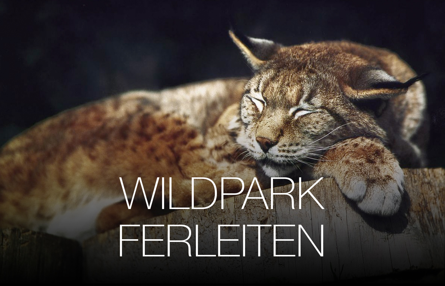 Wildpark Ferleiten